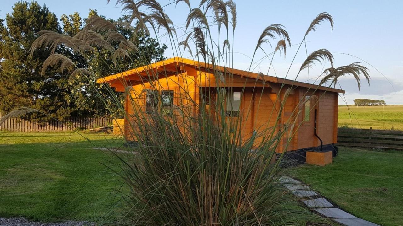Canterra Cottage Tain Exteriör bild
